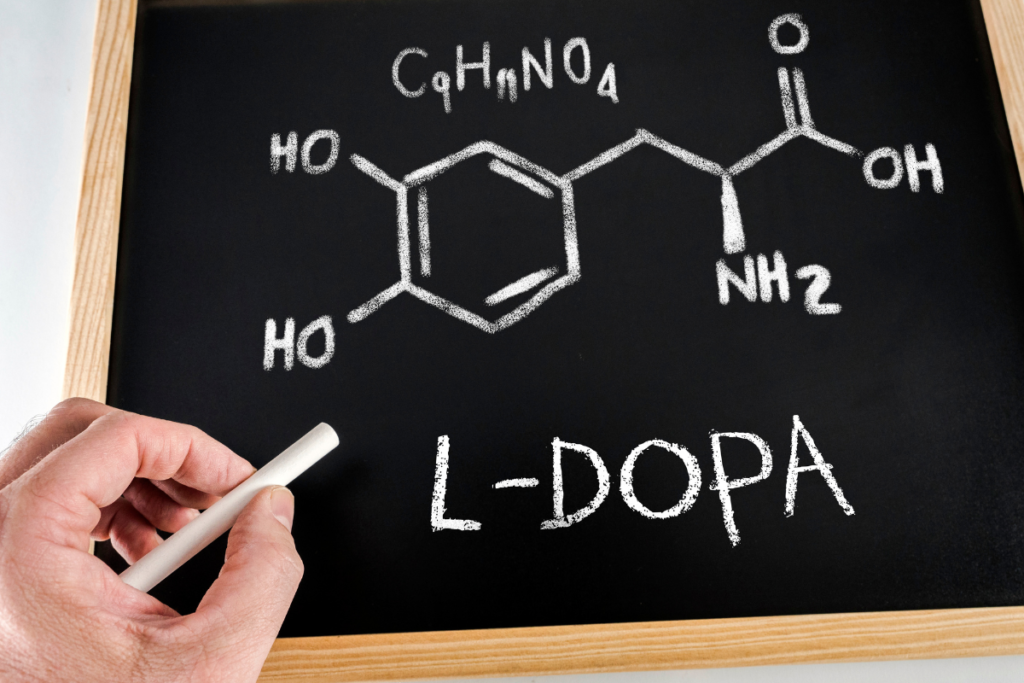 L-DOPA – wielofunkcyjny suplement